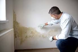 Best Mold Removal for HVAC Installations  in Belvedere, CA